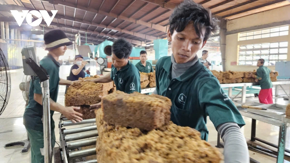 “Cao su Việt Nam, sợi dây kết nối kinh tế và tình người” trên nước bạn Campuchia
